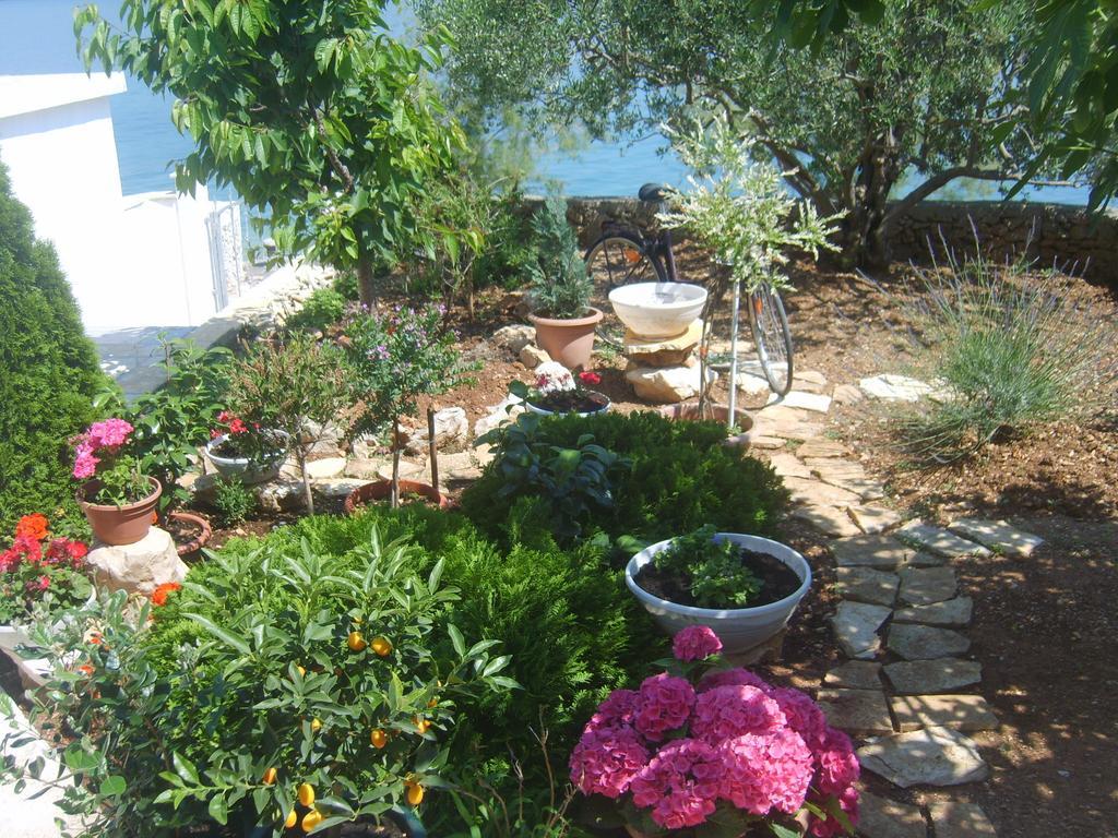 Apartments Iva Alla Trogir Habitación foto